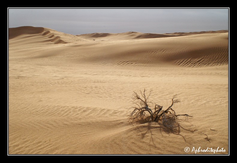 080 Du sable, du sable et encore du sable a plus en finiri